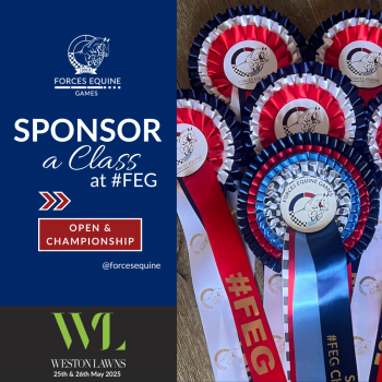Sponsorship of #FEG Team Champions